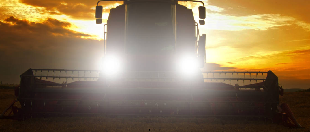 Diamond Acre Farms Ltd